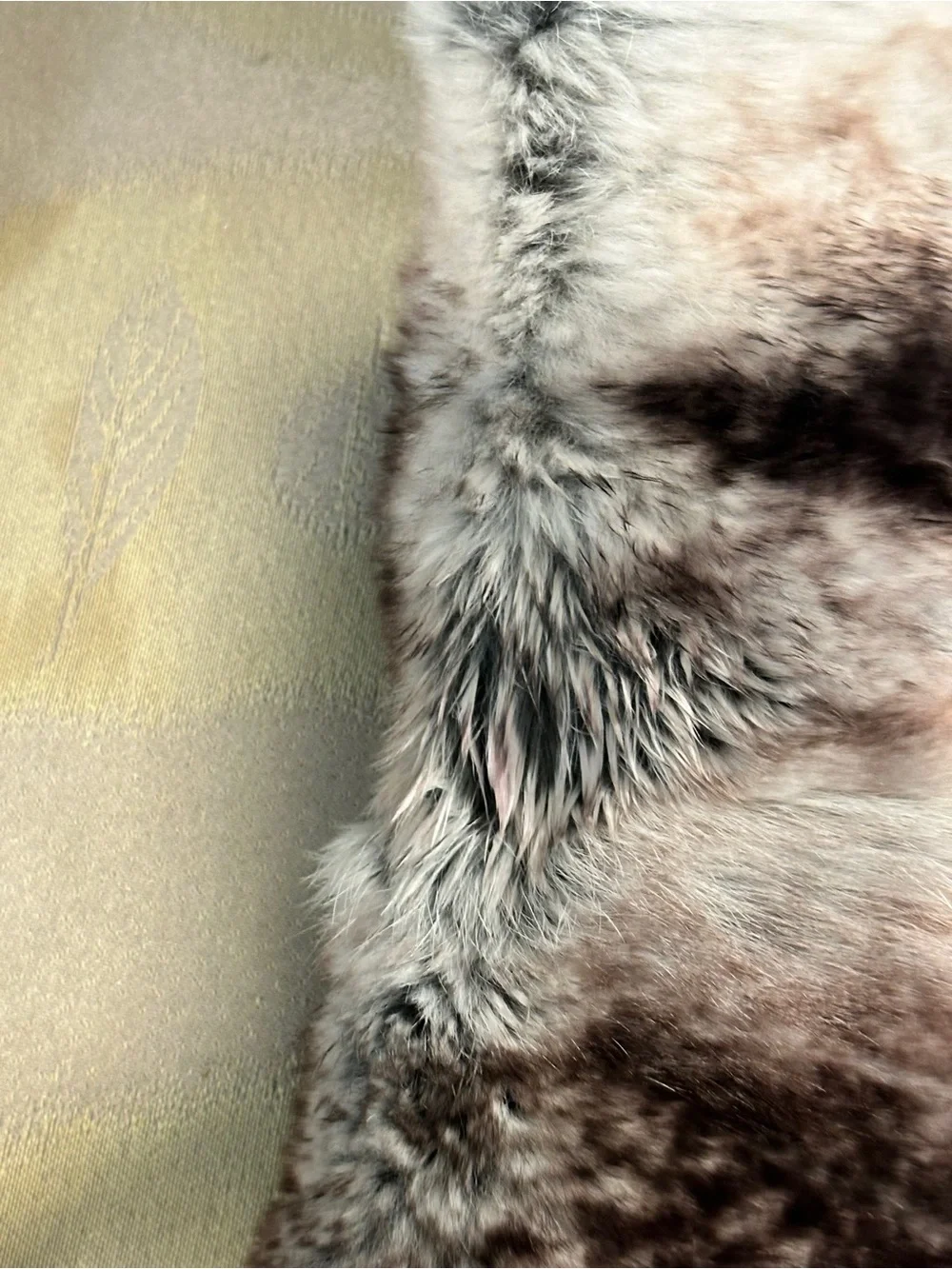 Amrose soft genuine